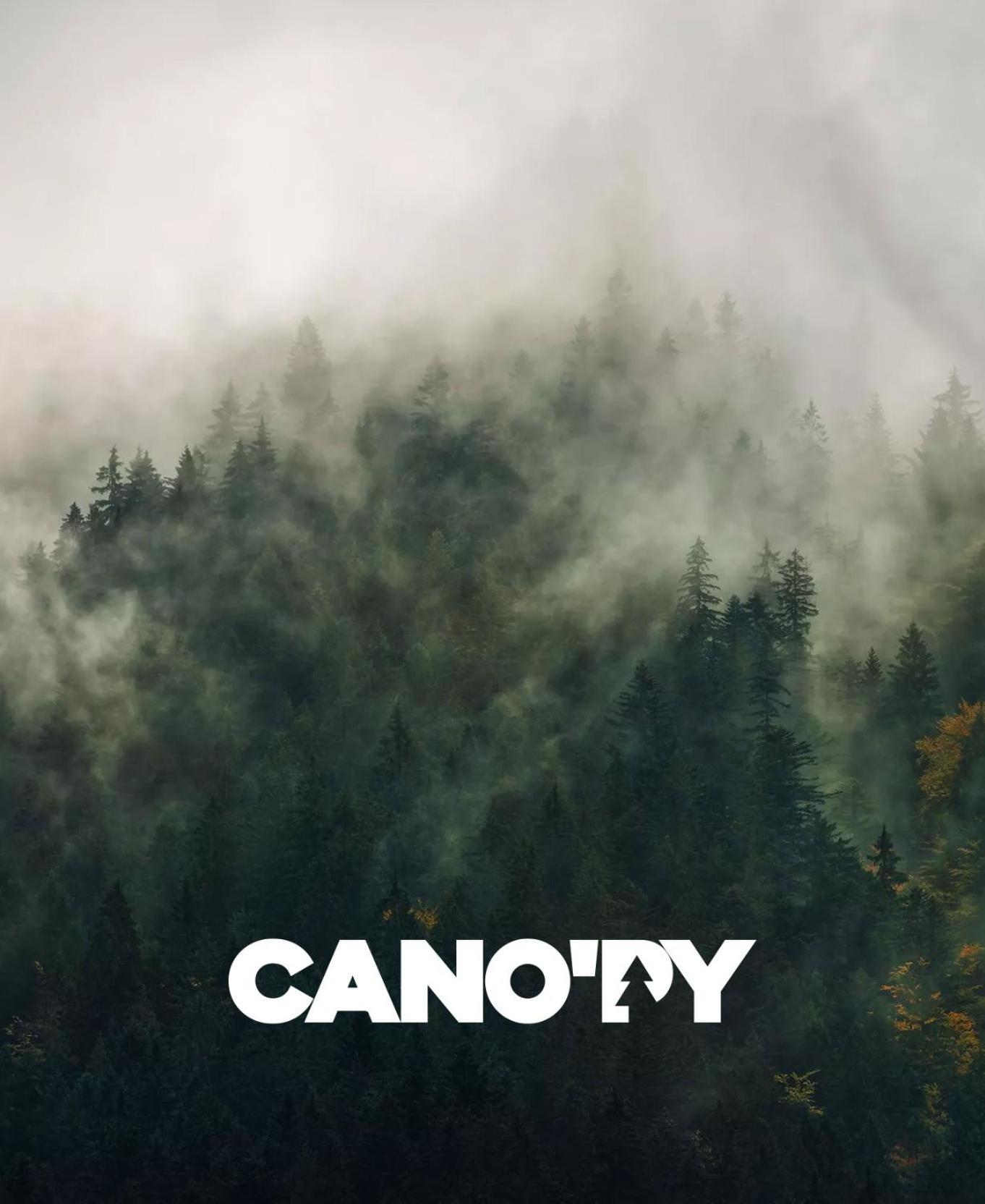 Cano'Py, Charmant 2 Pieces Avec Vue Montagne En Coeur De Ville Bagneres-de-Luchon Екстер'єр фото